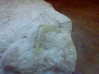 deadestshrimp.webp