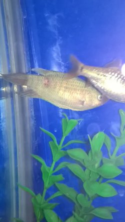 WP_20170102_23_08_13_Pro.jpg