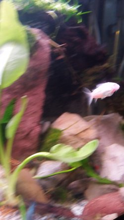 20170116_172925.jpg