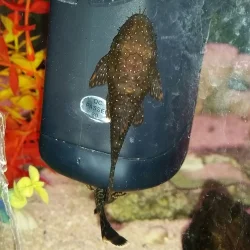20170119_131802-1.webp