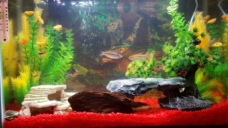 20170124_151750 (1).jpg