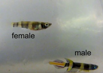 IMG_1946 (640x456).jpg