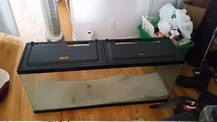 Tank received.webp