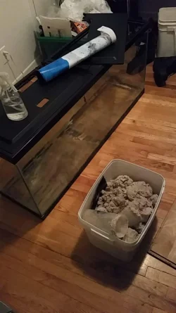 Most sand removed.webp