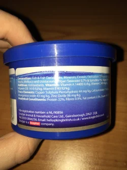 image.webp