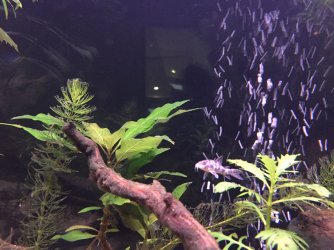 IMG_3119.JPG IMG_3119.JPG