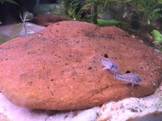 IMG_3139.JPG IMG_3139.JPG