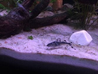 IMG_3141.JPG IMG_3141.JPG