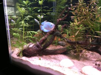 IMG_3146.JPG IMG_3146.JPG