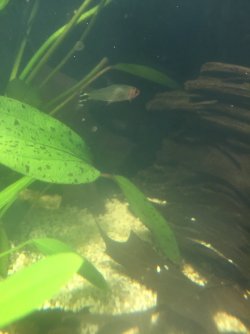 IMG_1756.JPG