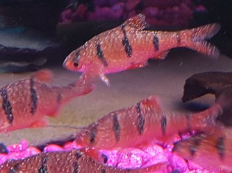 20170310_174936.jpg