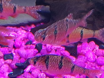 20170310_174943.jpg