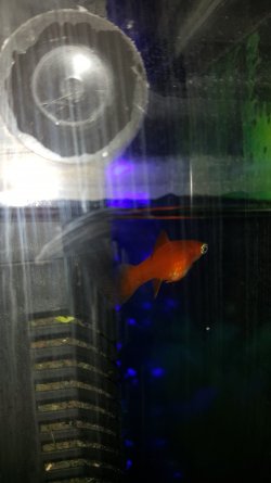 20170313_094951.jpg