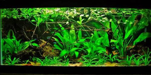 40g May 23-16.webp
