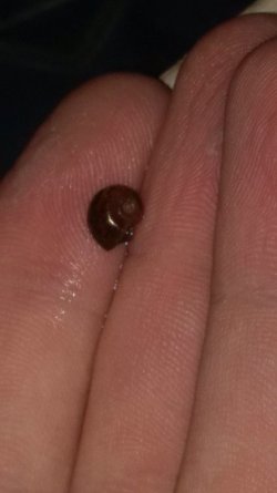 IMG_20170411_190916.jpg