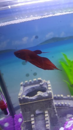 20170424_134646.jpg