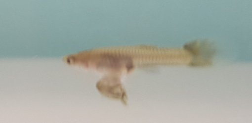 20170426_120115.jpg