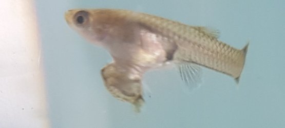 20170426_120018.jpg