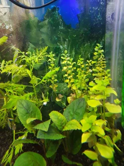 20170426_174127.webp