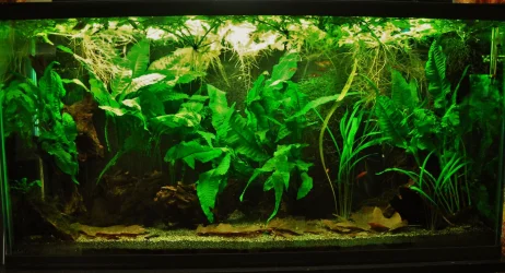 33g April 28-16.webp