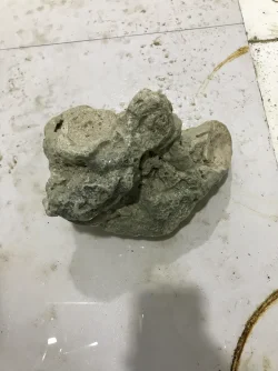 ROCk 1.webp