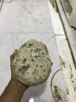 Rock 3.webp