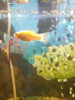 20170524_133732.jpg