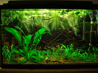 29g Feb 10-15.webp