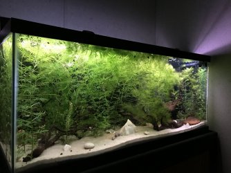 IMG_0814.JPG IMG_0814.JPG