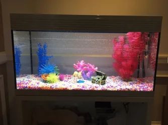 brand new tank.webp