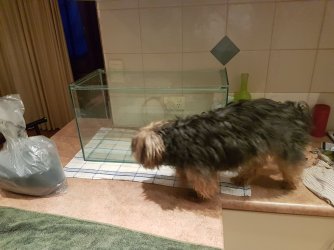 20170628_172916.jpg
