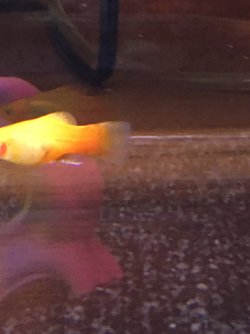 IMG_0512.JPG
