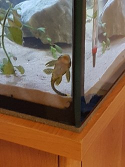 20170614_041035.jpg