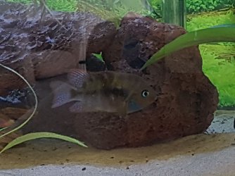 20170701_122233.jpg