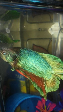 20170726_132435.jpg
