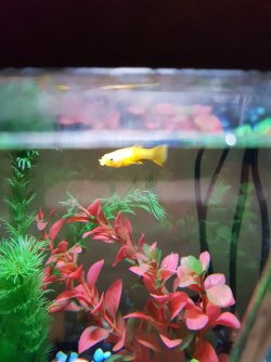 20170821_195631.jpg