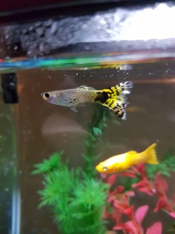 20170821_195712.jpg