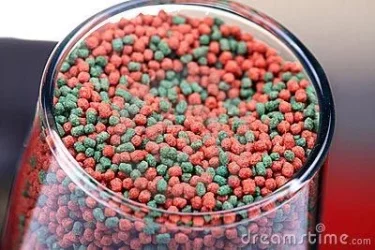 aquariumfishfoodgranules.webp