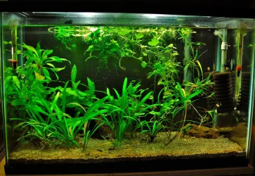 20g QT Aug 23-13.webp