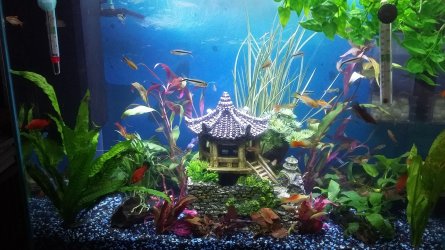 20170729_194514.jpg