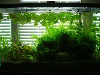 10g July 1-10.webp