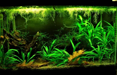 10g Sept 9-17.webp