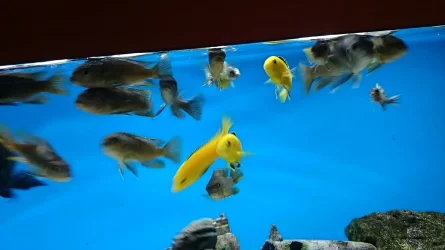 DSC_3424.webp