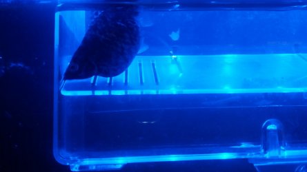 20170827_220911.jpg