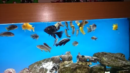 DSC_3416.webp