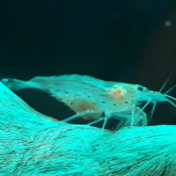 20171014_210243.jpg