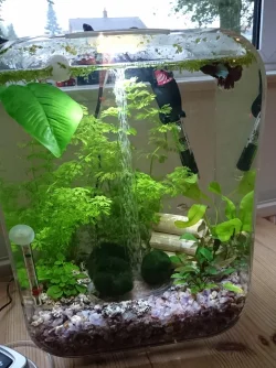 15litre.webp