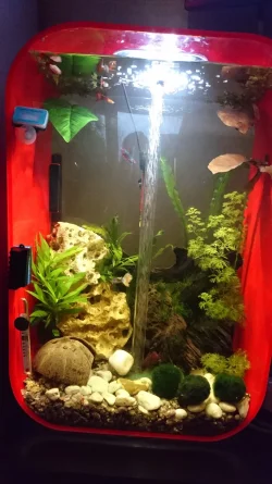 60litre.webp