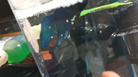IMG_6810.webp