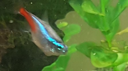 20171107_181140.jpg